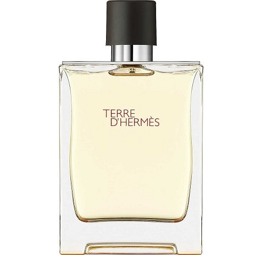 Hermès Terre d'Hermès Eau de Toilette Spray 100ml