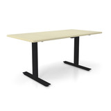 Height Adjustable 30” x 48” Ergonomic Business Desk - Aged Porcelain