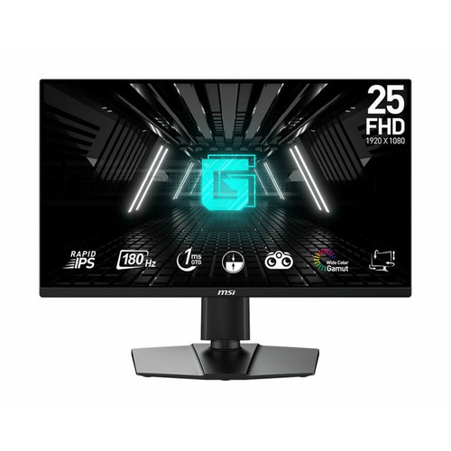 MSI G255PF E2 25" Class Full HD Gaming LCD Monitor - 16:9 - Black