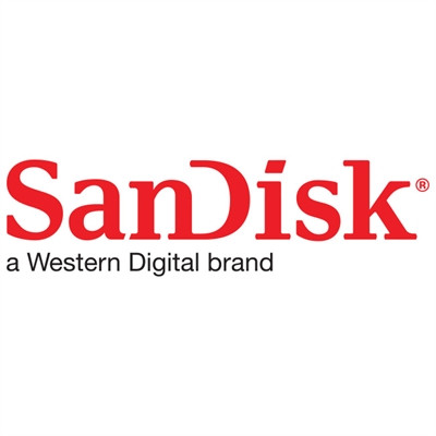 SanDisk DC SN861 NVMe SSD