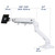 Ergotron Mounting Arm for Monitor, Curved Screen Display, LCD Display - White