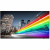 75" Pro TV Android B Line