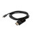 VisionTek USB-C to DisplayPort 1.4 Bi-Directional 2M Active Cable (M/M)