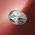 Oris Year of the Horse Limited Edition Hand-Wound 43 mm Dark Red Dial Brown Cordovan Strap [01 113 7806 4088-Set]