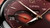 Oris Year of the Horse Limited Edition Hand-Wound 43 mm Dark Red Dial Brown Cordovan Strap [01 113 7806 4088-Set]