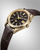 The CITIZEN Eco-Drive Calibre A060 38.3mm Gold-Tone Washi Dial Limited Edition [AQ4103-16W]