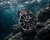 Mido Ocean Star 200 Automatic 41 mm Black Dial Black Rubber Strap [M026.930.17.051.00]