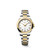 Longines Conquest L3.350.3.12.7 Swiss Made 30 mm quartz watch with a white sandblasted dial, stainless steel case with yellow gold PVD bezel, and stainless steel bracelet with yellow gold PVD centre links.