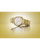 Citizen Tsuyosa 60 37 mm Silver Dial Gold-Tone Bracelet [NK0032-56A]