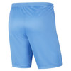 PARK III SHORTS UNIVERSITY BLUE