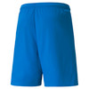 TEAM LIGA SHORTS ROYAL
