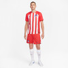 ATLETICO MADRID HOME JERSEY 23/24
