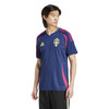 SWEDEN AWAY JERSEY 24