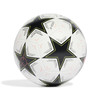 UCL CHAMPIONS LEAGUE 24/25 TRAINING BALL WHITE/BLACK