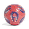 WOMEN EURO 25 CLUB BALL PANTON/SILVER