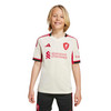 LIVERPOOL AWAY JERSEY YOUTH 25/26