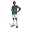 SOUTH AFRICA (SAFA) AWAY JERSEY 2026