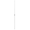 AGILITY POLE  (NO SPIKE)