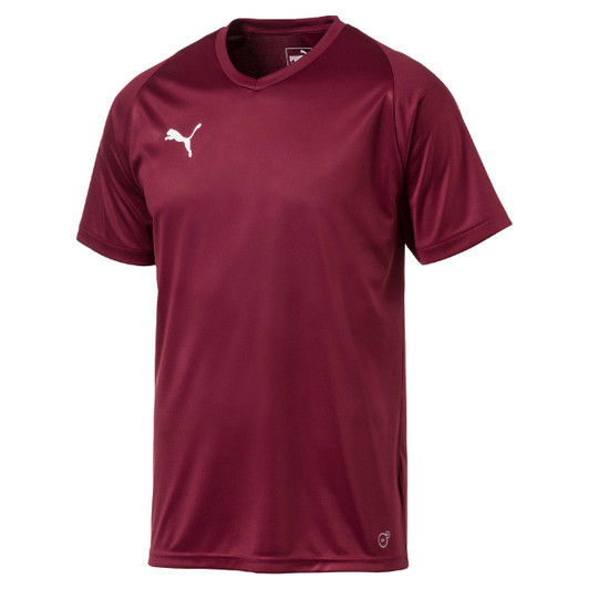 puma teamwear australia