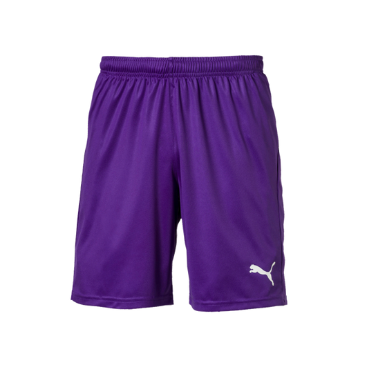 puma liga core shorts