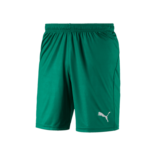 puma mens liga shorts