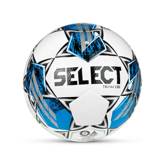 TEAM DB (FIFA BASIC)