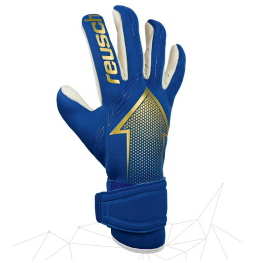 ARROW GOLD X BLUE/GOLD ARROW GOLD X BLUE/GOLD