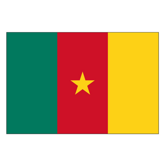 CAMEROON FLAG CAMEROON FLAG