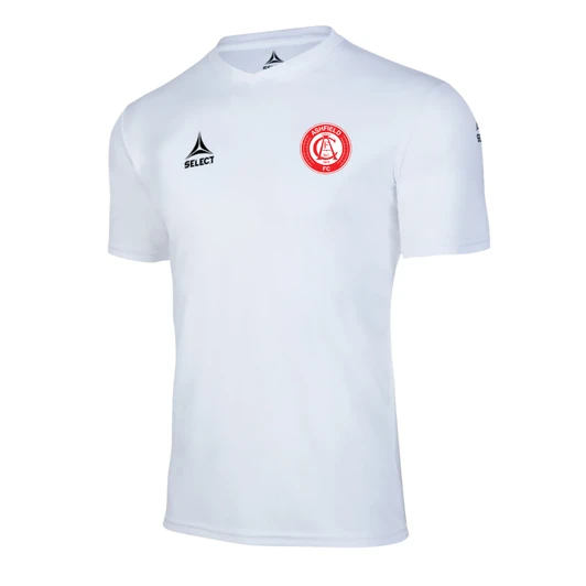 ASHFIELD WHITE TRAINING JERSEY