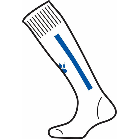 Cadiz Socks White/Royal