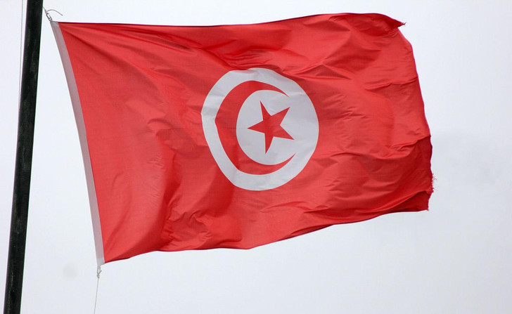 TUNISIA FLAG TUNISIA FLAG