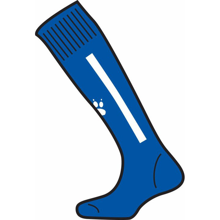 Cadiz Socks Royal/White