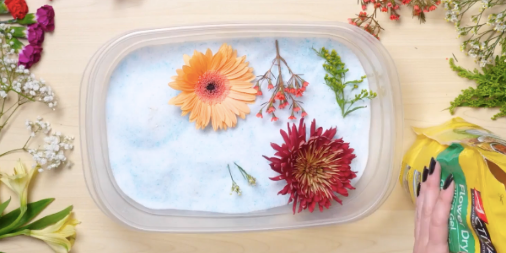 Using silica gel to dry flowers