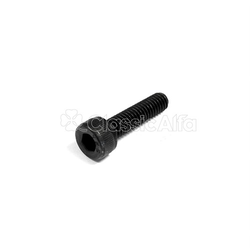 IN193 STEERING COLUMN SHROUD SCREW - SHORT IN193 STEERING COLUMN SHROUD SCREW - SHORT