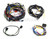 LOOM15 2000GTV LHD WIRING LOOM LOOM15 2000GTV LHD WIRING LOOM
