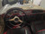 1958 GIULIETTA SPIDER 750D SWB  35,000 EURO 1958 GIULIETTA SPIDER 750D SWB  35,000 EURO