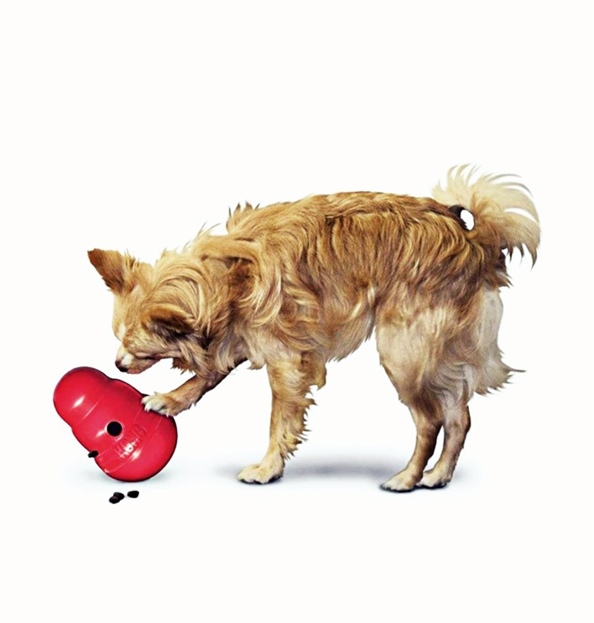 kong dog treat dispenser