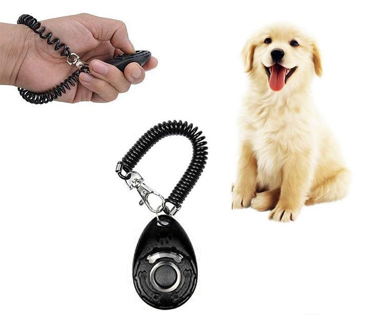 Dashing Dog Pet Treat Launcher With Wrist Strap