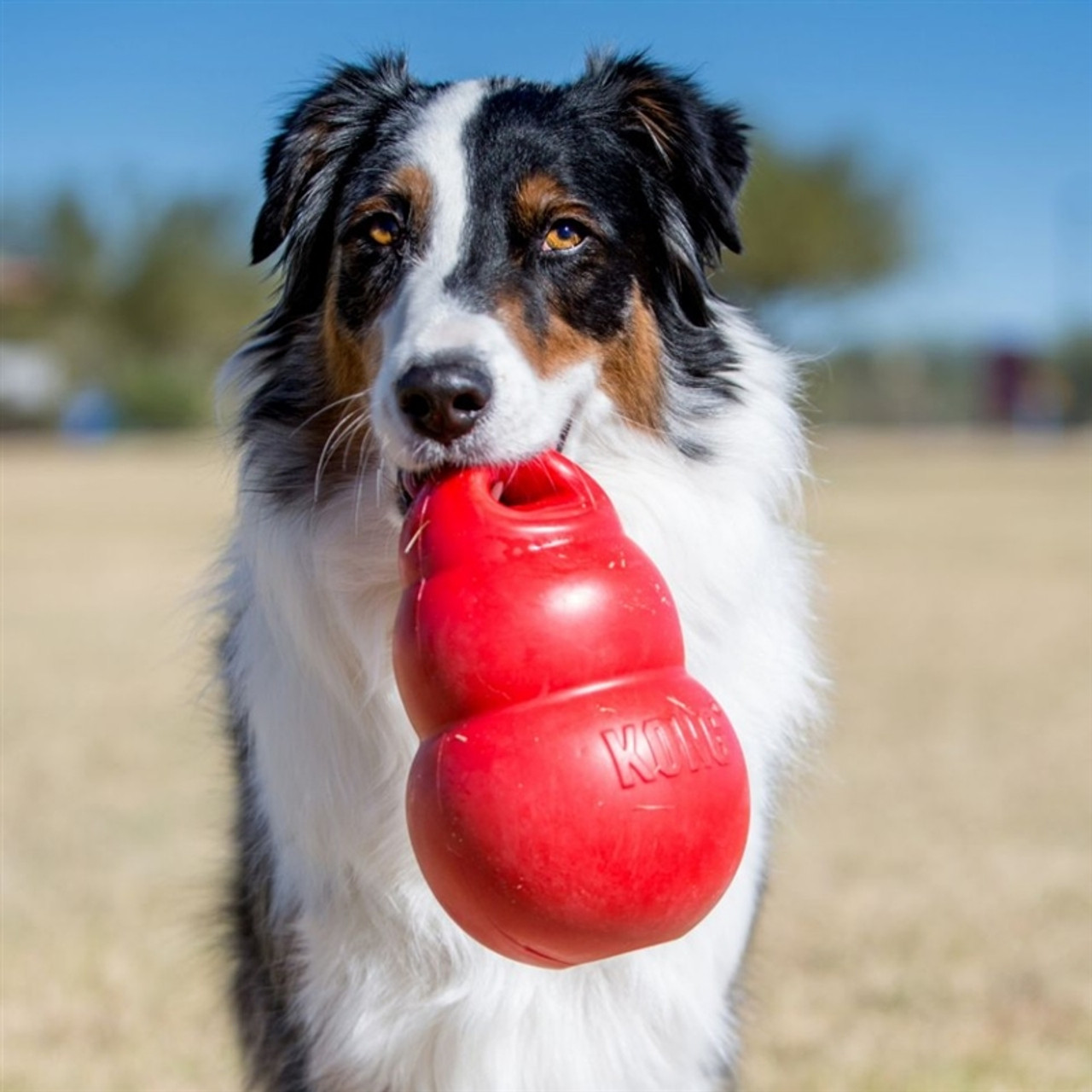 KONG Wobbler Dog Toy, Large 