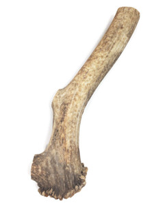 Mickey's Elk Antler Large Whole