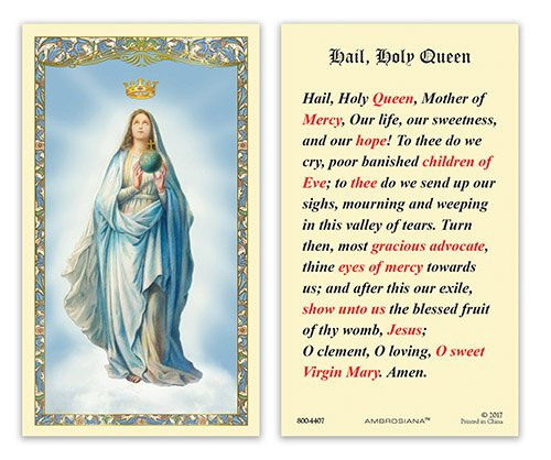 め*る様 【希少】フランクリンミント社 Mary Queen Of Heaven 24