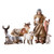 Bethlehem Nights Shepherd and Animals Set Bethlehem Nights Shepherd and Animals Set