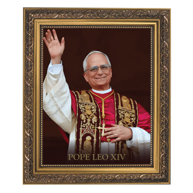 Pope Leo Framed Print