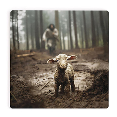 The Good Shepherd Collection - Coaster - Lamb