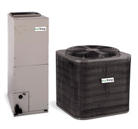 3.5 Ton EcoTemp 14.3 SEER2 Heat Pump System W4H5S42AKAAA, WBHL424AC