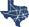 Our Houston Team