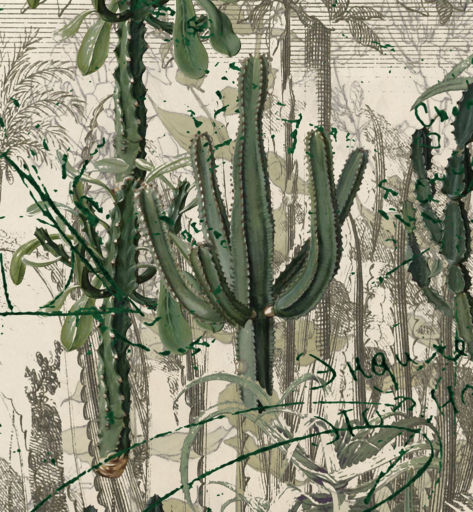 Fabric - Cactus Garden - Looking Sharp