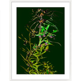 Framed Art Print - Nature Study - Green Orchids 