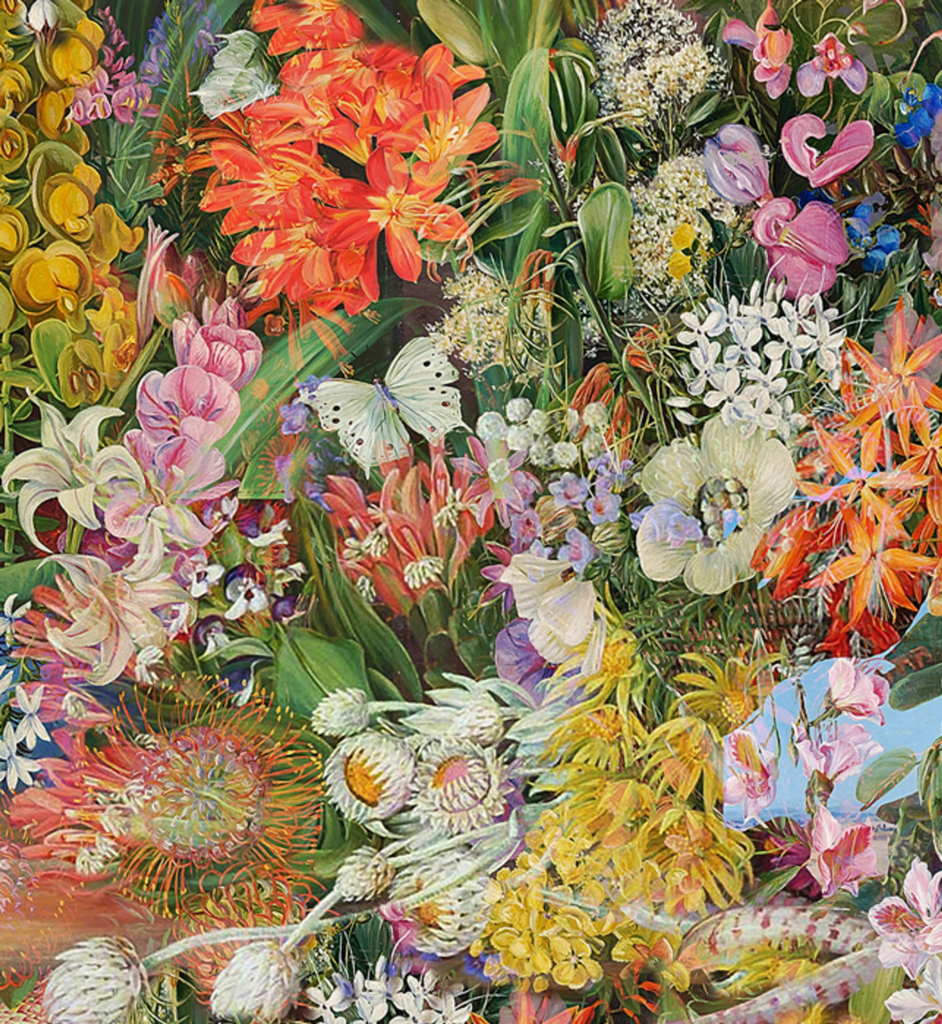 Wallpaper - Wildflowers