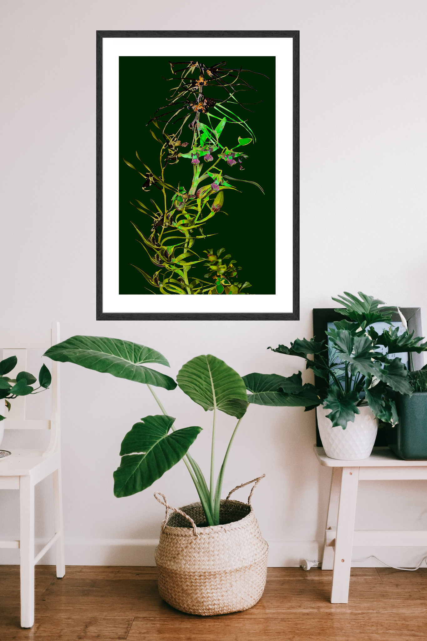 Framed Art Print - Nature Study - Green Orchids 